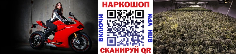 Как найти наркотики Апатиты КОКАИН ГАШ APVP Галлюциногенные грибы МАРИХУАНА
