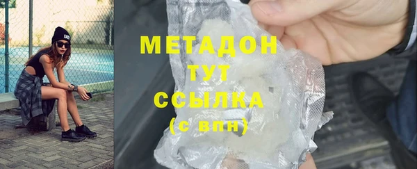стаф Алзамай