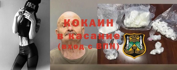 стаф Алзамай