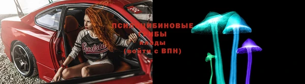 стаф Алзамай
