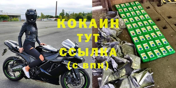 стаф Алзамай