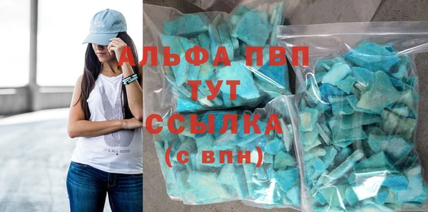 стаф Алзамай