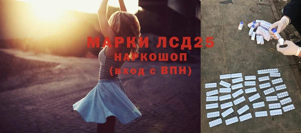 стаф Алзамай