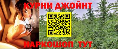 индика Азнакаево