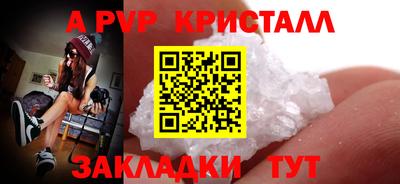 СК Абакан