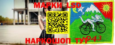 СК Абакан