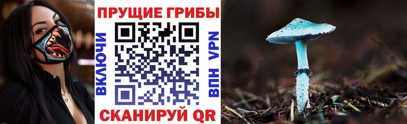 сколько стоит  Апатиты  Галлюциногенные грибы Cubensis 