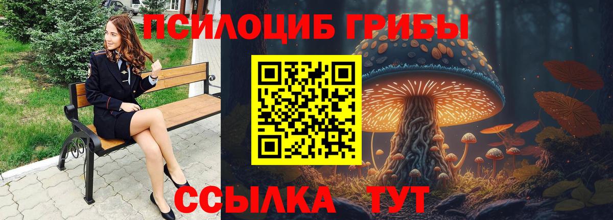 Псилоцибиновые грибы MAGIC MUSHROOMS Апатиты